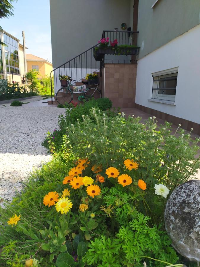 Casa Vacanze I Giardini Di Marzo San Giorgio di Mantova Eksteriør bilde